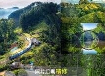 乌克兰足球比分-乌克兰足球，从比分波动中探寻绿茵场的坚韧与梦想