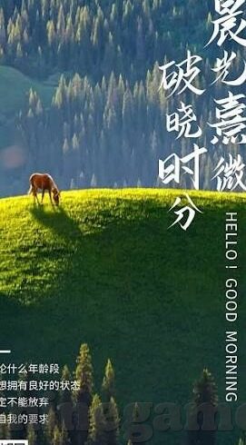 足球比分胜负直播-足球比分胜负直播，绿茵场上的心跳加速器