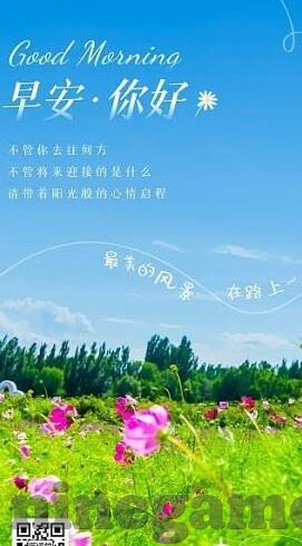 足球比分网 体球网-探秘体球网，足球比分背后的数据江湖与球迷狂欢地